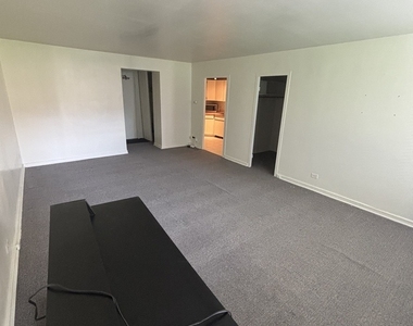 253 E Delaware Place - Photo Thumbnail 7