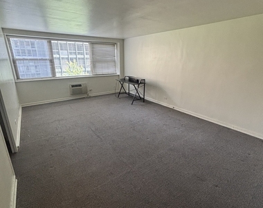253 E Delaware Place - Photo Thumbnail 4