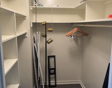 253 E Delaware Place - Photo Thumbnail 8