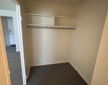 253 E Delaware Place - Photo Thumbnail 6
