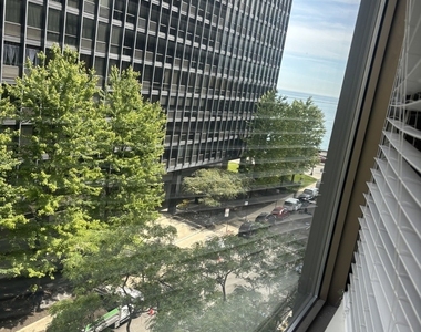 253 E Delaware Place - Photo Thumbnail 9