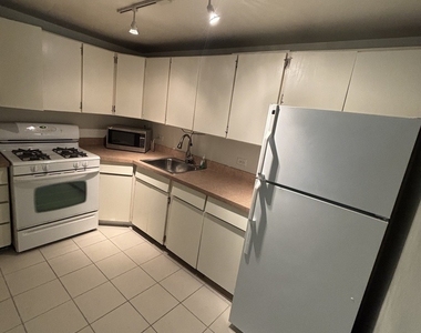 253 E Delaware Place - Photo Thumbnail 1