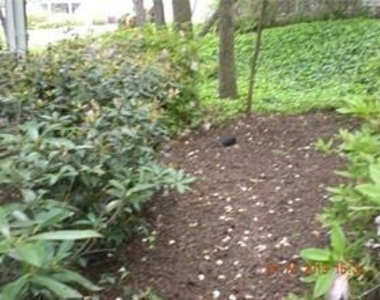 1010 Wynnes Ridge Circle Se - Photo Thumbnail 16
