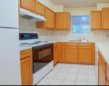 1203 Lovett - Photo Thumbnail 11