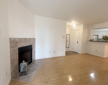 11201 Lynbrook Drive - Photo Thumbnail 12