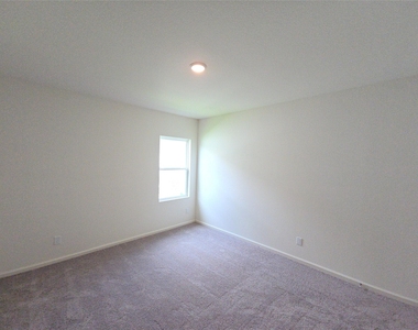 3888 Sunbird Creek Trail - Photo Thumbnail 9