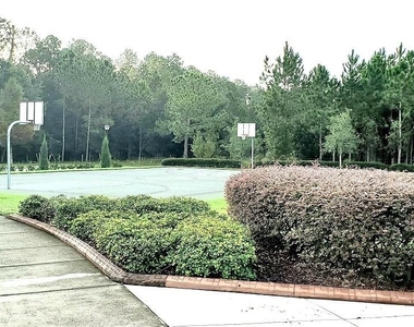 34421 Blue Ash Court - Photo Thumbnail 22
