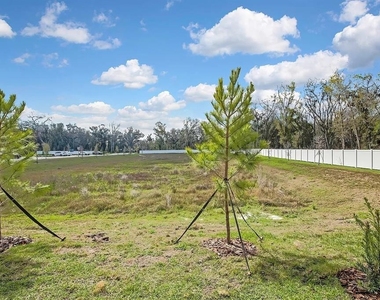 36144 Risa Michele Street - Photo Thumbnail 23