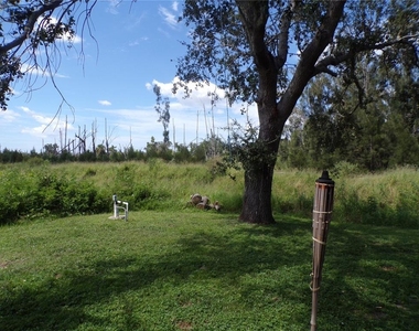 385 Sunflower Street - Photo Thumbnail 23