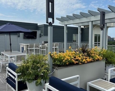 111b Morgan Street - Photo Thumbnail 20