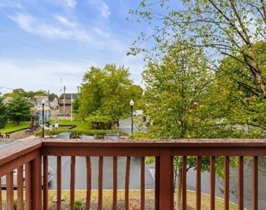 8 Alfred Ave - Photo Thumbnail 27