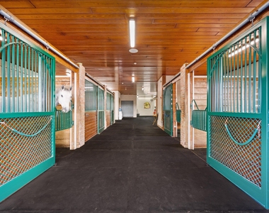 3509 Grand Prix Farms Drive - Photo Thumbnail 8
