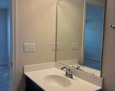 7411 Red Mulberry Way - Photo Thumbnail 24
