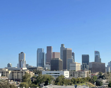 870 Figueroa Terrace - Photo Thumbnail 28