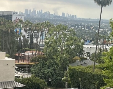 8718 St Ives Drive - Photo Thumbnail 7