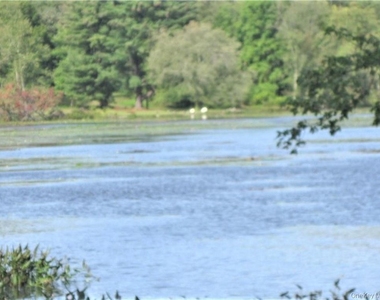 525 Lake Road - Photo Thumbnail 23
