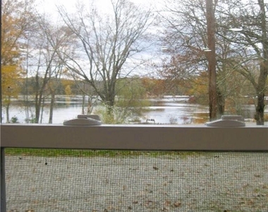 525 Lake Road - Photo Thumbnail 16