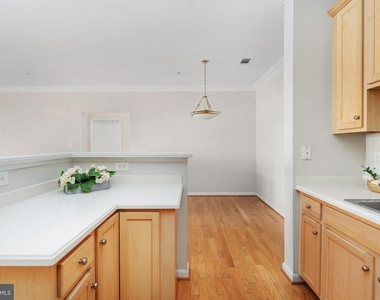 1621 Ladue - Photo Thumbnail 31