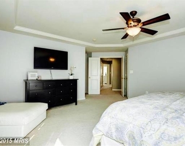 23421 Spice Bush Terrace - Photo Thumbnail 18