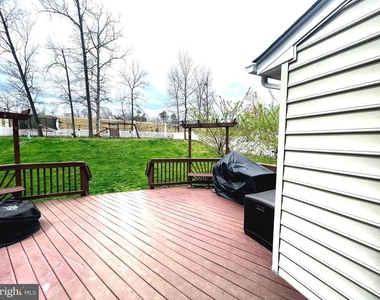 20411 Middlebury Street - Photo Thumbnail 24