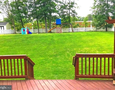 20411 Middlebury Street - Photo Thumbnail 29