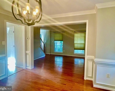 20411 Middlebury Street - Photo Thumbnail 33