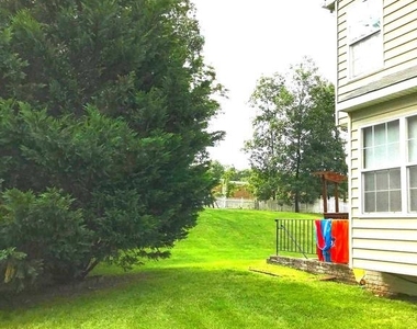 20411 Middlebury Street - Photo Thumbnail 28