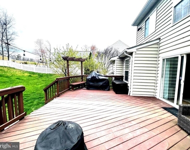 20411 Middlebury Street - Photo Thumbnail 22