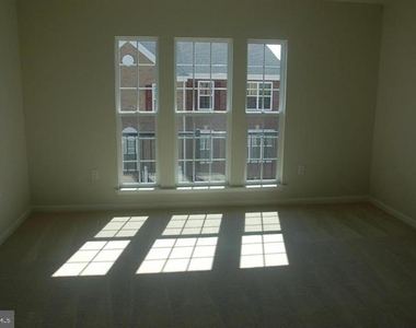 20596 Geddes Terrace - Photo Thumbnail 11