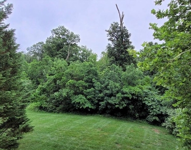 5344 Blue Aster Circle - Photo Thumbnail 40