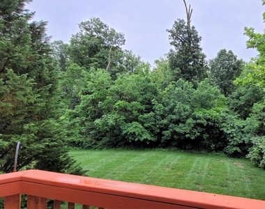 5344 Blue Aster Circle - Photo Thumbnail 39