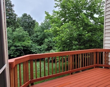 5344 Blue Aster Circle - Photo Thumbnail 37