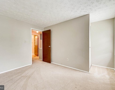 3381 Monarch Lane - Photo Thumbnail 45