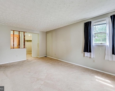 3381 Monarch Lane - Photo Thumbnail 28