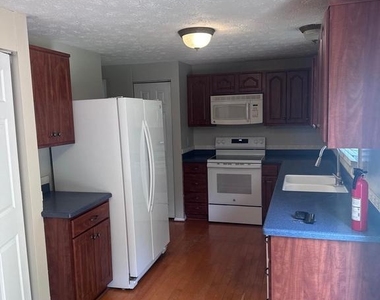 13767 Cabells Mill Drive - Photo Thumbnail 4