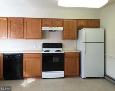 1204 William Street - Photo Thumbnail 4