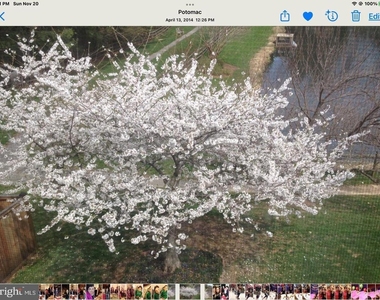 9548 Fox Hollow - Photo Thumbnail 46