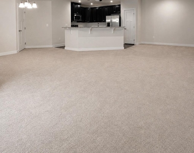10110 Seattle Slew Lane - Photo Thumbnail 13