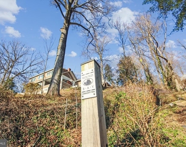 203a Severn River Road - Photo Thumbnail 37