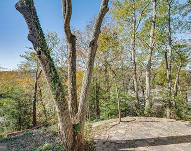 612 Holly Ridge Road - Photo Thumbnail 29