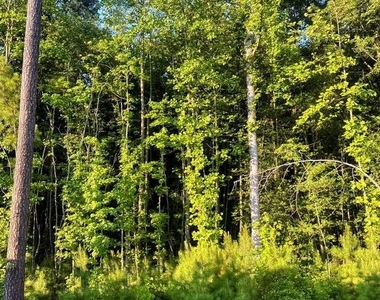 185 Currant Circle - Photo Thumbnail 19