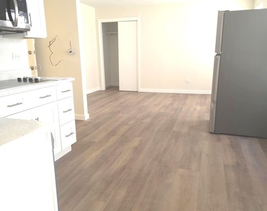 607 N Wells Street - Photo Thumbnail 3