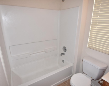 16807 Mammoth Springs Dr - Photo Thumbnail 30