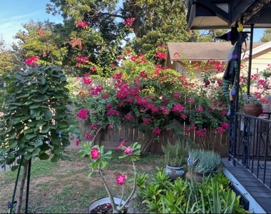 610 Northwood Street - Photo Thumbnail 4