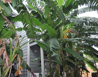 3754 Tanglewilde Street - Photo Thumbnail 1
