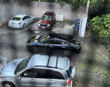 92 Anthony Street - Photo Thumbnail 12