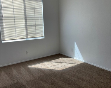 10519 Allegrini Drive - Photo Thumbnail 13