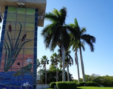 1903 Robalo Drive - Photo Thumbnail 19