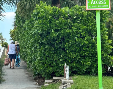 2020 Coral Reef Drive - Photo Thumbnail 37