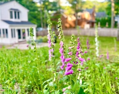 610 Eastwood Drive - Photo Thumbnail 2